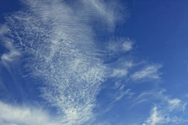Doğruca Gökyüzüne Bakıyorum Nce Bulutlar Arka Plan Olarak Serin Mavi — Stok fotoğraf