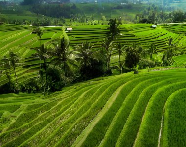 İnsansız hava aracı kamerasıyla çekilen kırsal bir teras manzarasının fotoğrafı, sinematik ışıklandırmayla aydınlatılmış, inanılmaz detayı vurguluyor..