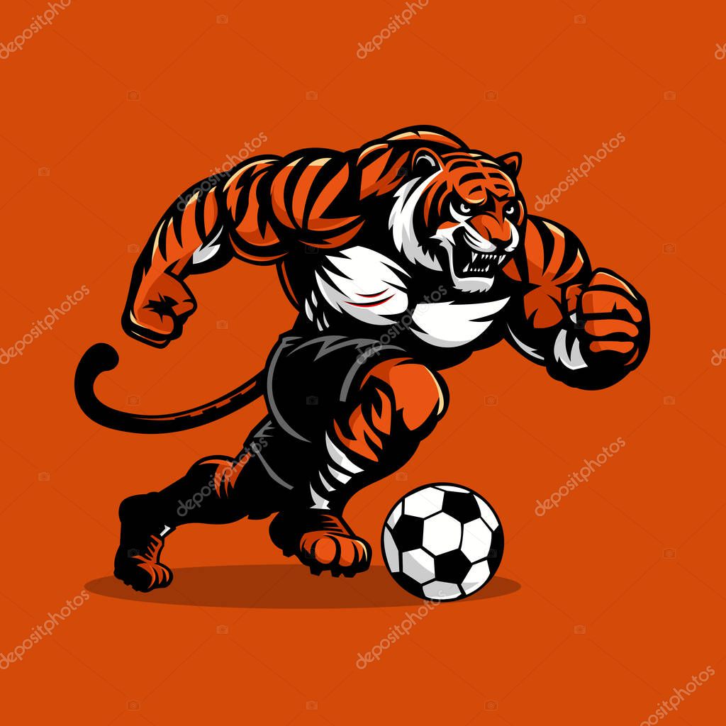 Tiger mascot cartoon design Illustration vector for football club