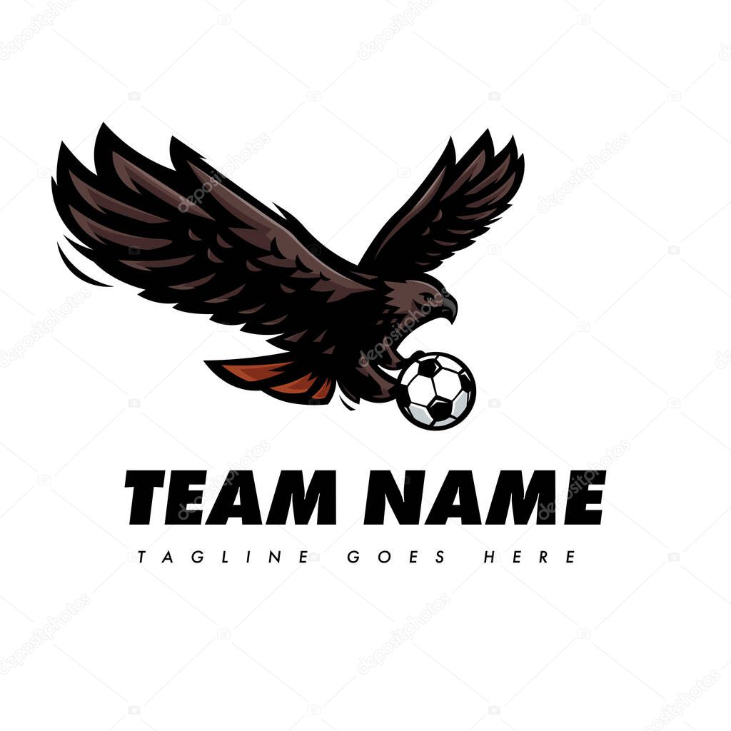 Hawk Eagle Football Team Logo