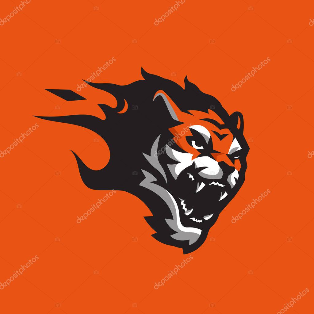 Tiger head on fire, Angry fierce tiger head mascot logo for team sports and gaming