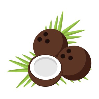 Hindistan cevizi çizgi film simgesi vektörü.