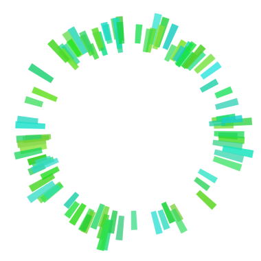 Çember eşitleyicisinin etrafındaki kalın çizgiler.