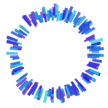 Çember eşitleyicisinin etrafındaki kalın çizgiler.