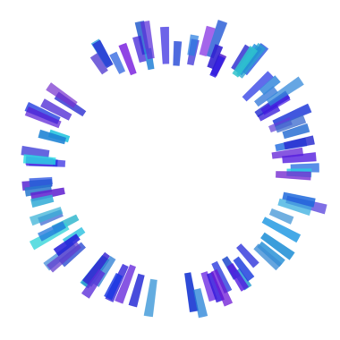 Çember eşitleyicisinin etrafındaki kalın çizgiler.