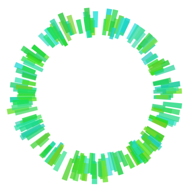 Çember eşitleyicisinin etrafındaki kalın çizgiler.