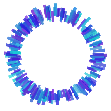 Çember eşitleyicisinin etrafındaki kalın çizgiler.