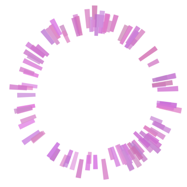 Çember eşitleyicisinin etrafındaki kalın çizgiler.