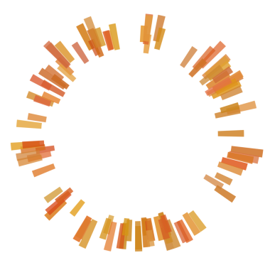 Çember eşitleyicisinin etrafındaki kalın çizgiler.