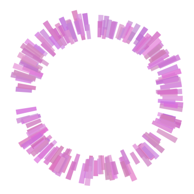Çember eşitleyicisinin etrafındaki kalın çizgiler.