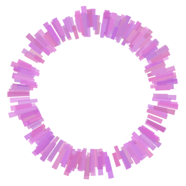 Çember eşitleyicisinin etrafındaki kalın çizgiler.