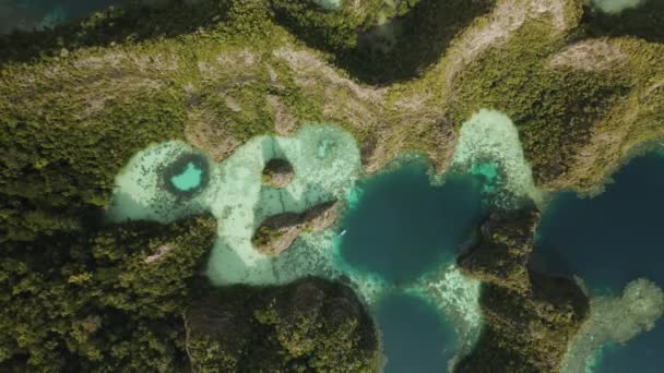 Raja Ampat Bir Uçurum Lagünlerin Turkuaz Suyun Etrafında Çekim Yaptı — Stok video