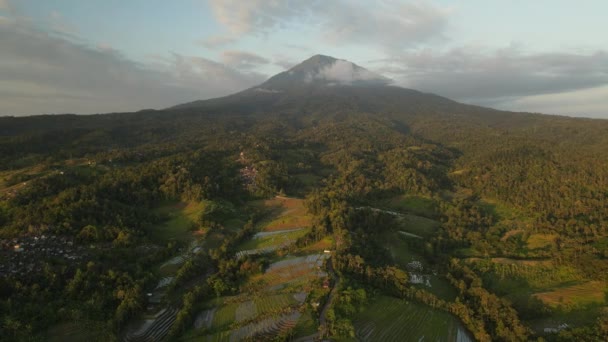 Solnedgång Utsikt Över Berget Agung Bali Omgiven Gröna Risfält — Stockvideo