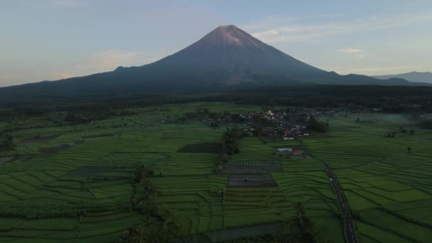 Voo Drone Sobre Paisagem Montada Vulcão Semeru Jawa Indonésia Amanhecer — Vídeo de Stock