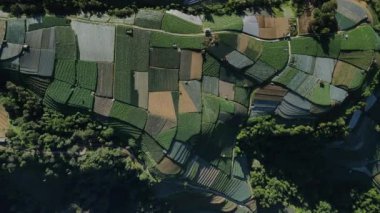 Nepal Van Java 'daki bir dağın tepesinde renkli tarlaların ve sebzelerin görüntüsü.