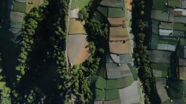 Nepal Van Java 'daki bir dağın tepesinde renkli tarlaların ve sebzelerin görüntüsü.