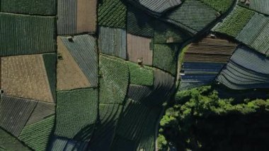 Nepal Van Java 'daki bir dağın tepesinde renkli tarlaların ve sebzelerin görüntüsü.