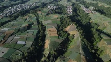 Endonezya 'nın Java dağlarında sebzelerle yeşil tarlaların hava görüntüsü.