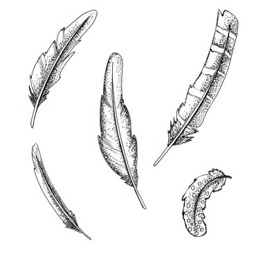 Boyalı tüyler, mürekkeple çizilmiş siyah beyaz tüyler.