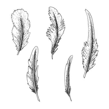 Boyalı tüyler, mürekkeple çizilmiş siyah beyaz tüyler.