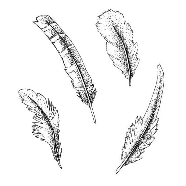漆过的羽毛 用黑色和白色墨水画的羽毛 — 图库照片