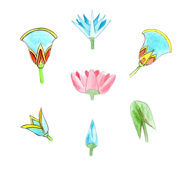 Rysunek Kwiatów Rysunek Akwareli Egipskich Kwiatów — Zdjęcie stockowe