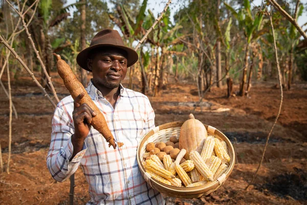 Farmer in the field with a basket with the harvest, agricultural production in Africa