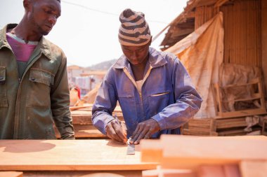 A carpenter taking measurements of a plank while working while his colleague assists him