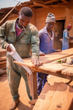 A carpenter cuts a board with a handsaw while his colleague watches