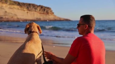 Bir köpek ve sahibi gün batımında plajda rahatlar ve birlikte oynarlar, arkadaşlık kavramı.