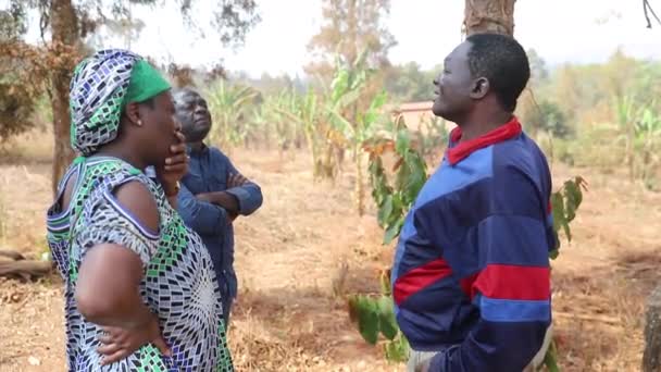 Afrykański Rolnik Mówi Pracy Swoimi Współpracownikami Terenie — Wideo stockowe