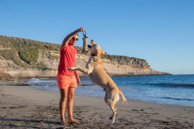 Bir köpek eğitmeni ve bir köpek sahilde alıştırma yapıyor, köpek çiğneme oyuncağını ısırmak için zıplıyor..