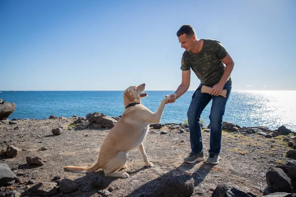 A dog trainer with a dog on the beach does training exercises and holds his paw.
