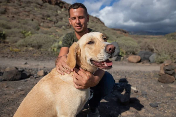 Labrador Recuperador Relaja Mientras Dueño Acaricia Pone Collar —  Fotos de Stock