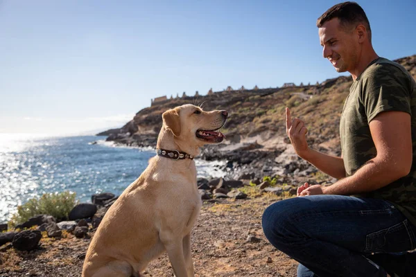 Entrenador Perros Hace Gestos Con Mano Delante Perro Durante Una —  Fotos de Stock