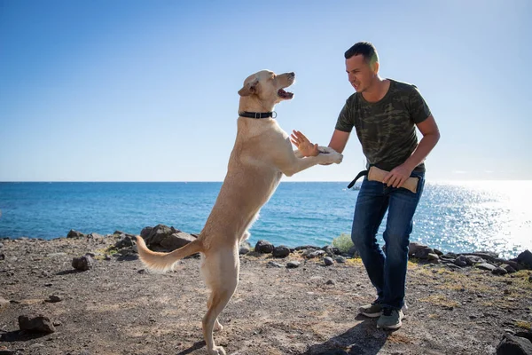 Entrenador Perros Con Labrador Recuperador Durante Entrenamiento Cerca Del Mar —  Fotos de Stock
