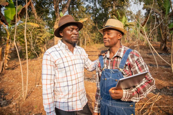 Two farmers negotiating in a field, agriculture in Africa.