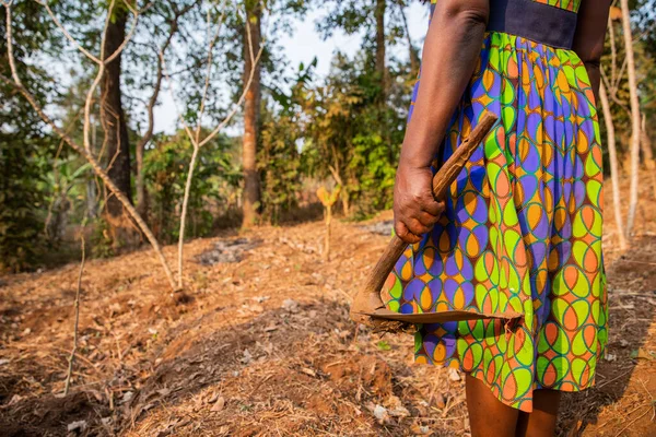 Close Hoe Held Peasant Woman Hoeing Field Africa — Stock Photo, Image