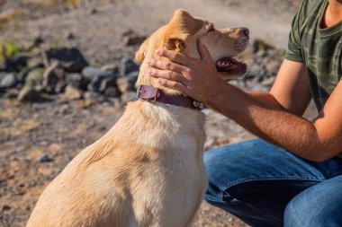 Bir köpek eğitmeni eğitirken köpeğine sarılır.