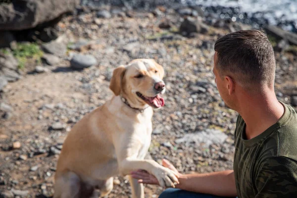 Pies Jego Właściciel Patrzą Siebie Trener Dołącza Psiej Łapki Ręką — Zdjęcie stockowe