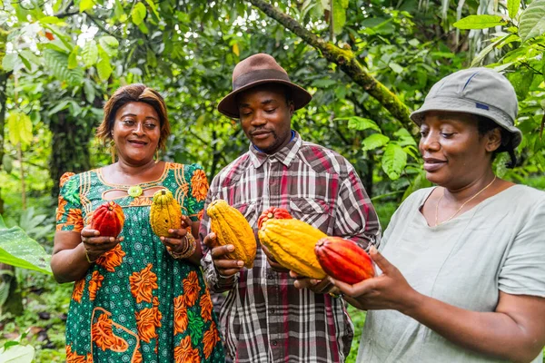 Cocoa pickers proudly display the cocoa pods they have just harvested.