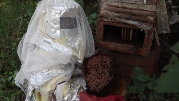 Afrikalı Bir Arı Yetiştiricisi Taze Çıkarılan Kovanları Gösteriyor — Stok video