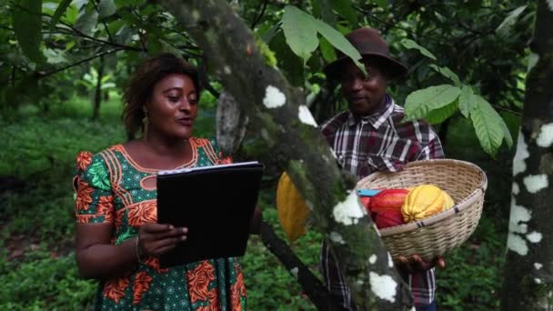 Два Фермера Разговаривают Время Сбора Какао Стручков Плантации Африке — стоковое видео