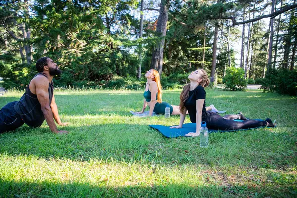 Three people are doing yoga in a park. One of them is a man with a beard. The other two are women. They are all on their mats and are looking up at the sky