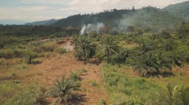 Dschang, Kamerun yakınlarındaki Nehir, Tarlalar ve Vahşi Doğa ile Afrika 'nın Hava Aracı Görüntüsü.