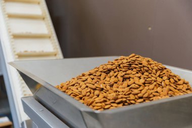 Yiyecek işleme tesisinde paketlenmeye hazır bir kase dolusu badem..