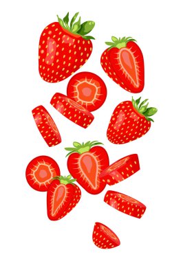 Havada taze dilimlenmiş çilek. İzole vektör illüstrasyonu