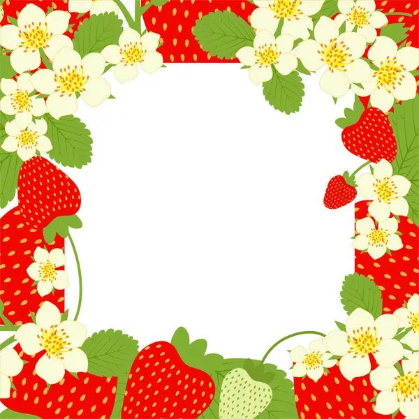 Φράουλα Φόντο Τετράγωνο Πλαίσιο Ανθισμένες Φράουλες Και Θέση Για Κείμενο — Διανυσματικό Αρχείο
