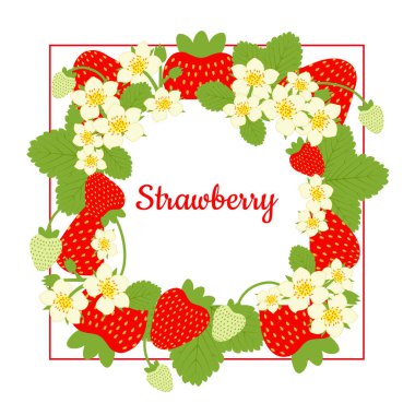 Kare çilek çerçevesi ve metin için yer var. Vektör illüstrasyonu