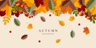 Düşen yapraklar sınırıyla sonbahar arkaplanı